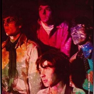 Meet your Posher, Isabella Rose